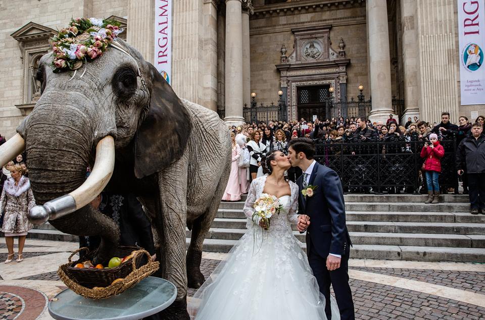 Hzassgkts a Bazilika eltt